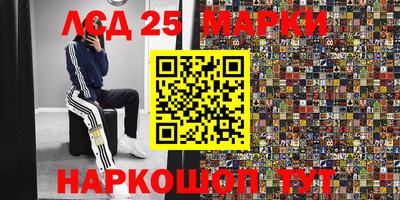 индика Тверь