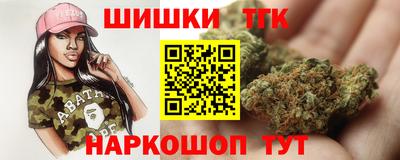 индика Тверь