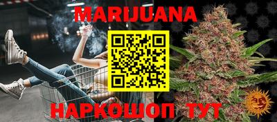 индика Тверь