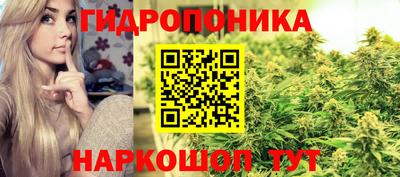 индика Тверь
