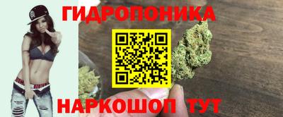 прущие грибы Тара