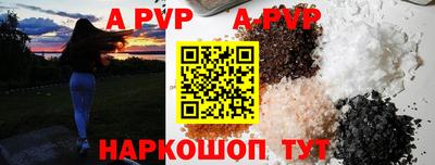 индика Тверь