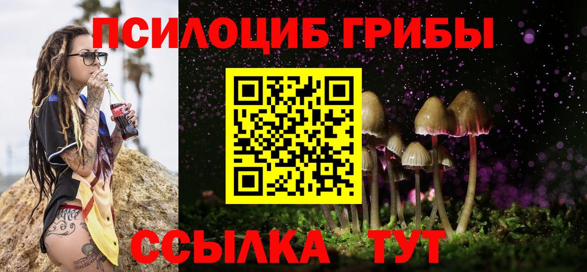Галлюциногенные грибы Psilocybe Новоалександровск