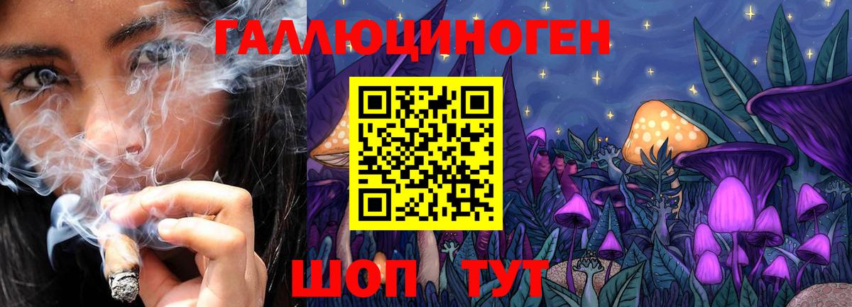 Новоалександровск  Галлюциногенные грибы Cubensis  Вход с VPN 